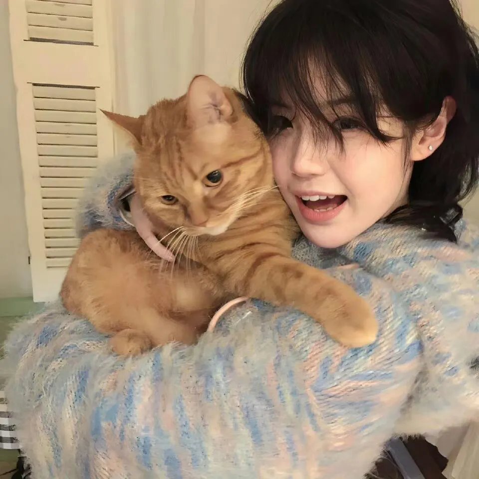 重回黄金年代2000